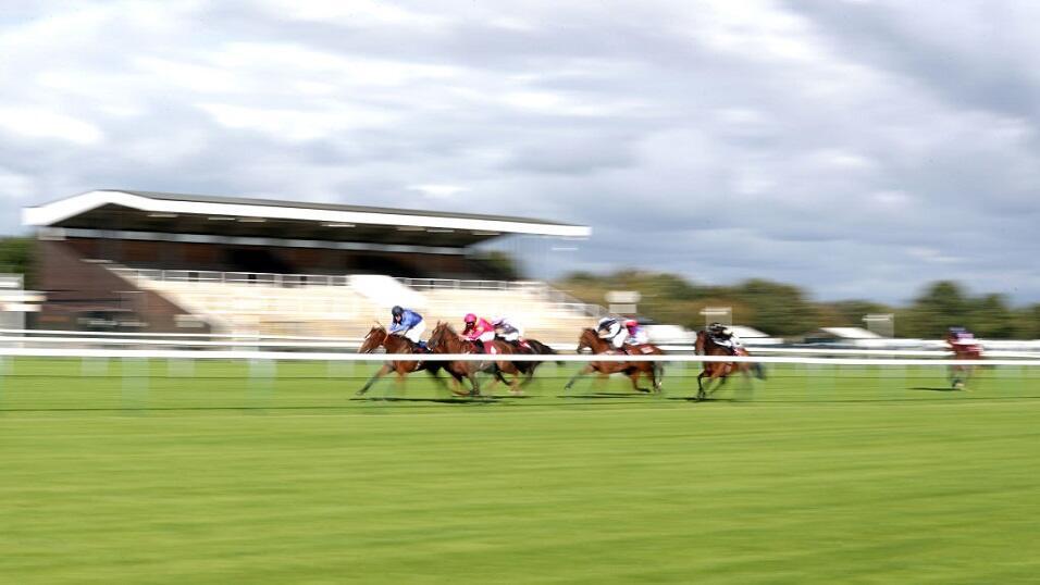 Haydock 